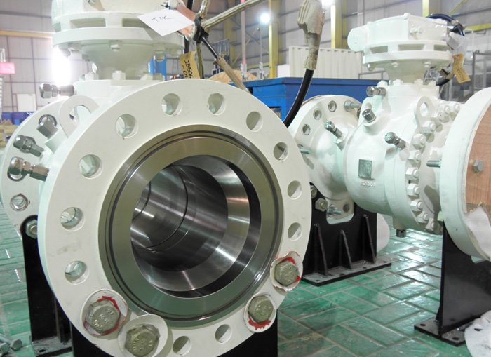 Valve Maintenance & Shutdown Activities